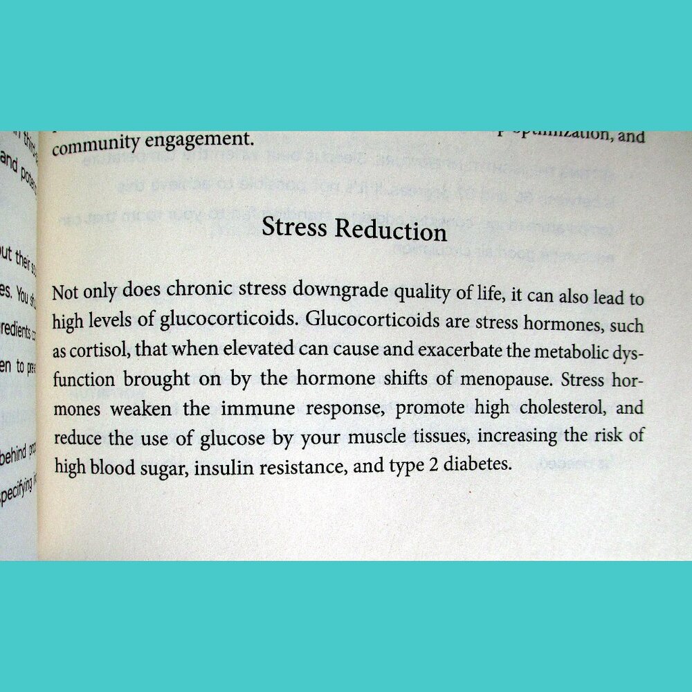 The New Menopause: Navigating Your Hormonal Changes with Purpose, Power & Facts - Picture 10 of 16